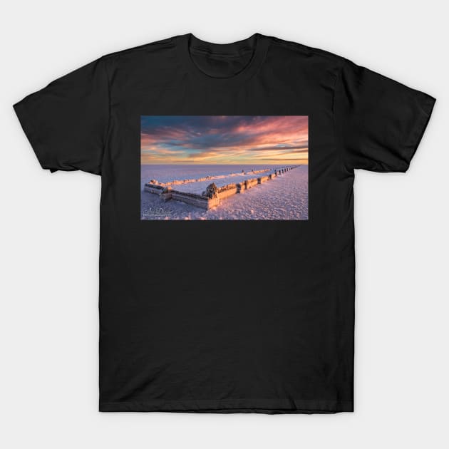 Salt and Light II T-Shirt by lordveritas